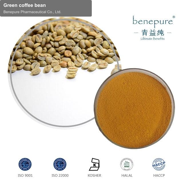 Green coffee bean