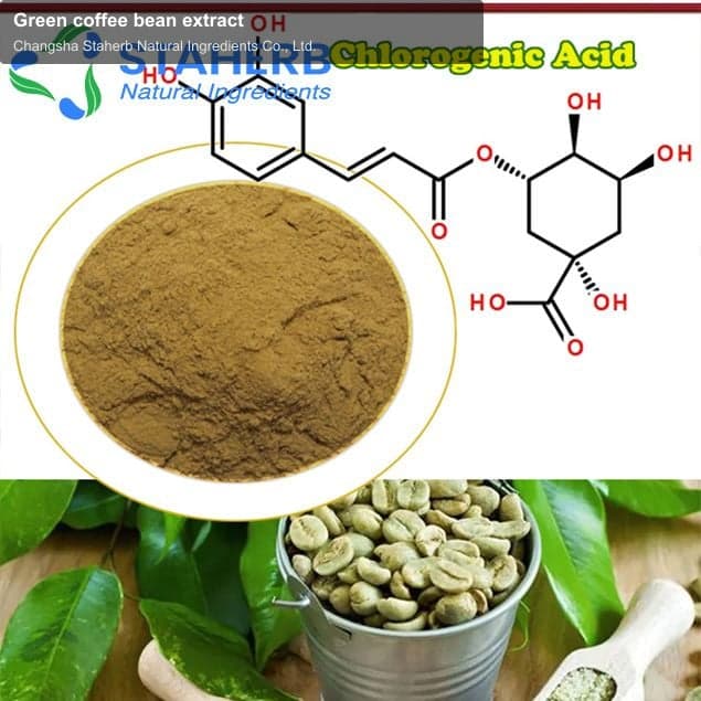 Green coffee bean extract