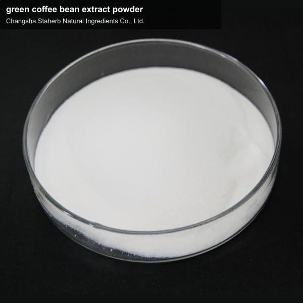 green coffee bean extract powder