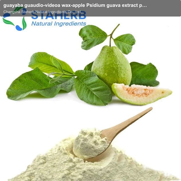guayaba guaudio-videoa wax-apple Psidium guava extract powder