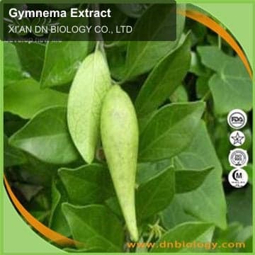 Gymnema Extract