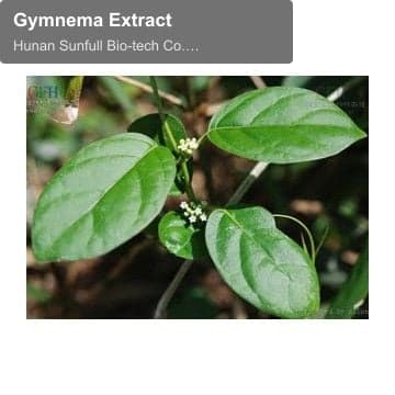 Gymnema Extract