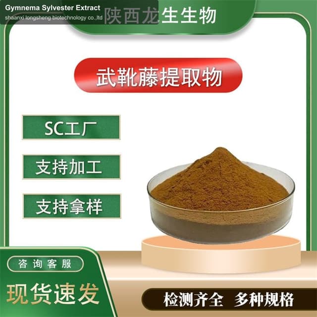 Gymnema Sylvester Extract