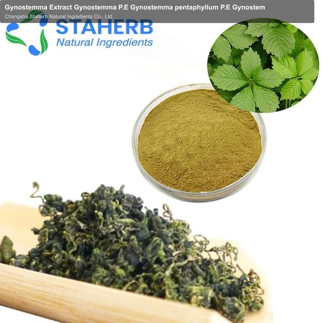 Gynostemma Extract Gynostemma P.E Gynostemma pentaphyllum P.E Gynostem