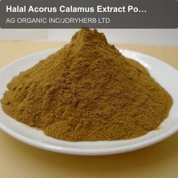 Halal Acorus Calamus Extract Powder 10:1