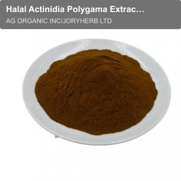 Halal Actinidia Polygama Extract Powder10:1