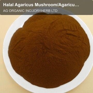 Halal Agaricus Mushroom/Agaricus blazei Extract Powder10:1