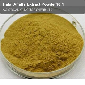 Halal Alfalfa Extract Powder10:1
