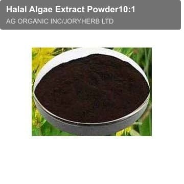 Halal Algae Extract Powder10:1