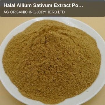 Halal Allium Sativum Extract Powder10:1