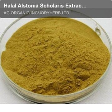 Halal Alstonia Scholaris Extract Powder10:1