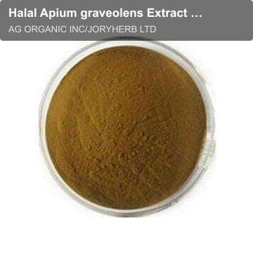 Halal Apium graveolens Extract Powder 10:1