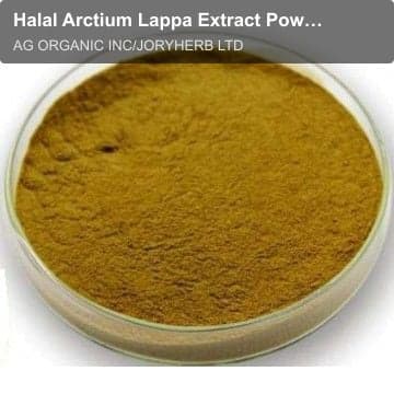 Halal Arctium Lappa Extract Powder 10:1