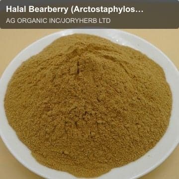 Halal Bearberry (Arctostaphylos) Extract Powder10:1