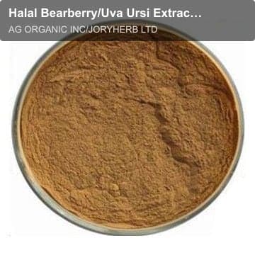 Halal Bearberry/Uva Ursi Extract Powder10:1