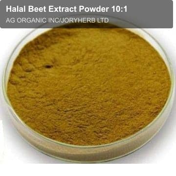 Halal Beet Extract Powder 10:1
