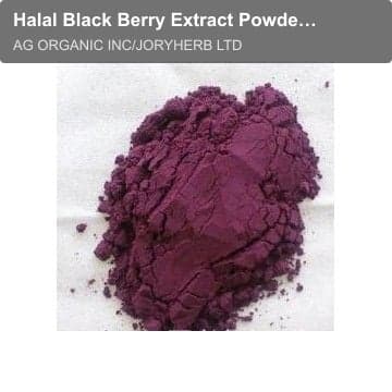 Halal Black Berry Extract Powder 10:1