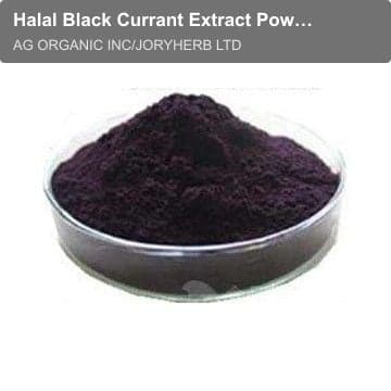 Halal Black Currant Extract Powder 10:1
