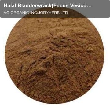 Halal Bladderwrack(Fucus Vesiculosus) Extract Powder 10:1
