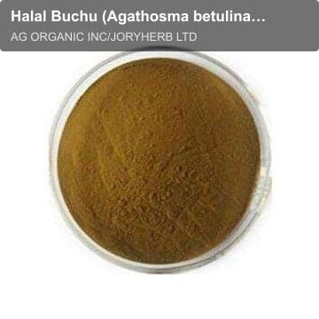 Halal Buchu (Agathosma betulina) Leaf Extract Powder10:1