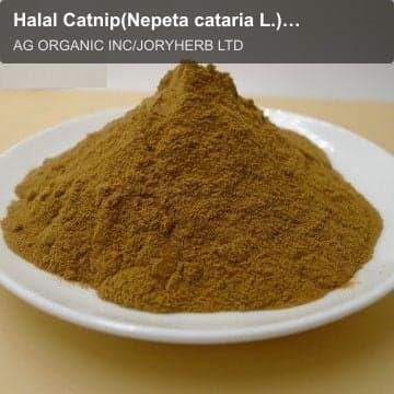 Halal Catnip(Nepeta cataria L.) Extract Powder 10:1