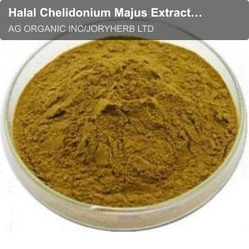 Halal Chelidonium Majus Extract Powder