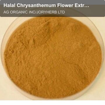 Halal Chrysanthemum Flower Extract Powder 10:1