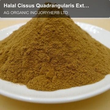 Halal Cissus Quadrangularis Extract Powder 10:1