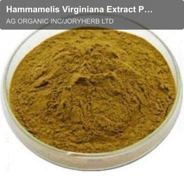Hammamelis Virginiana Extract Powder