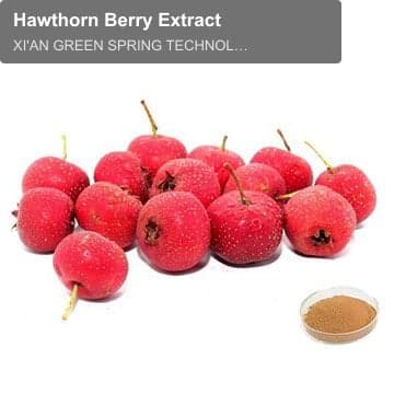 Hawthorn Berry Extract