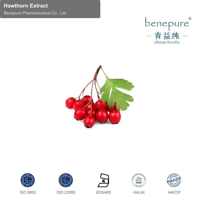 Hawthorn Extract