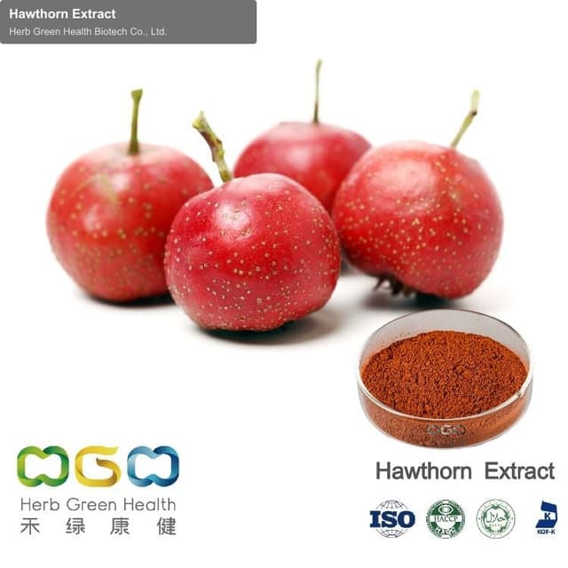 Hawthorn Extract