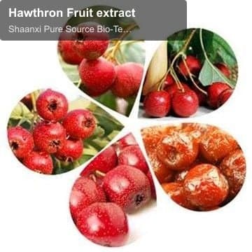 Hawthron Fruit extract