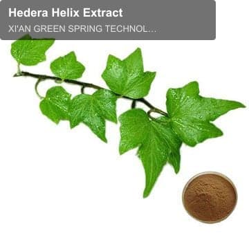 Hedera Helix Extract