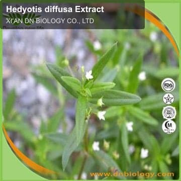 Hedyotis diffusa Extract