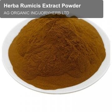 Herba Rumicis Extract Powder