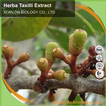Herba Taxilli Extract