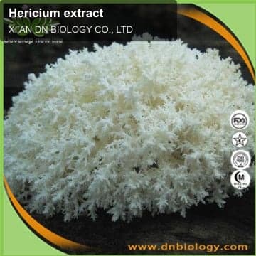 Hericium extract