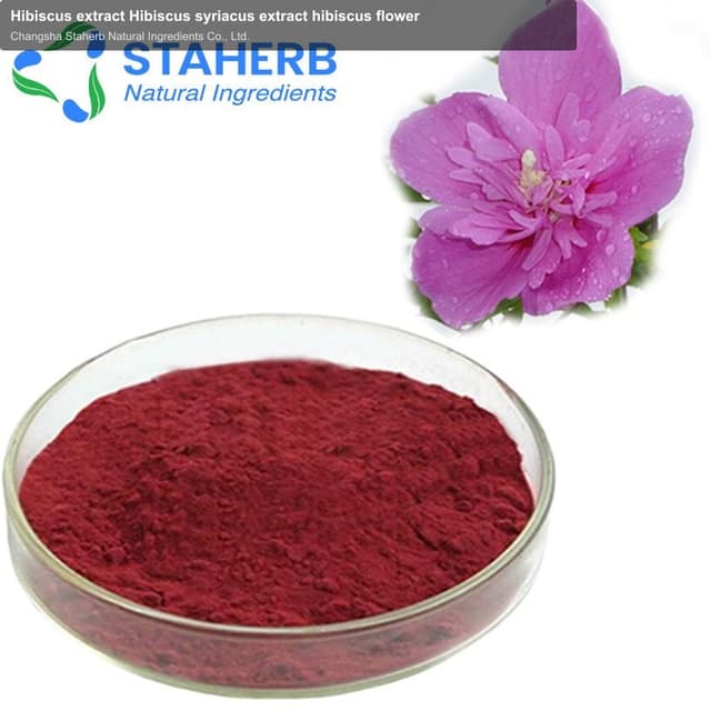 Hibiscus extract Hibiscus syriacus extract hibiscus flower