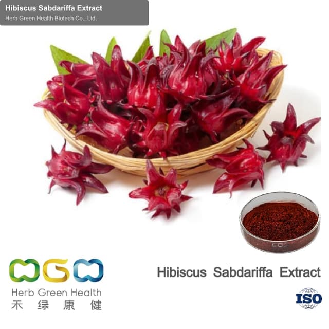 Hibiscus Sabdariffa Extract
