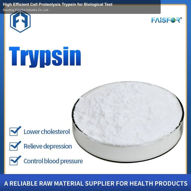 High Efficient Cell Proteolysis Trypsin for Biological Test