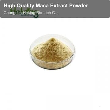 High Quality Maca Extract Powder