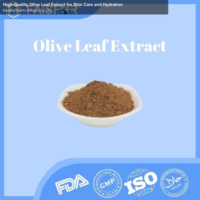 High-Quality Olive Leaf Extract for Skin Care and Hydration