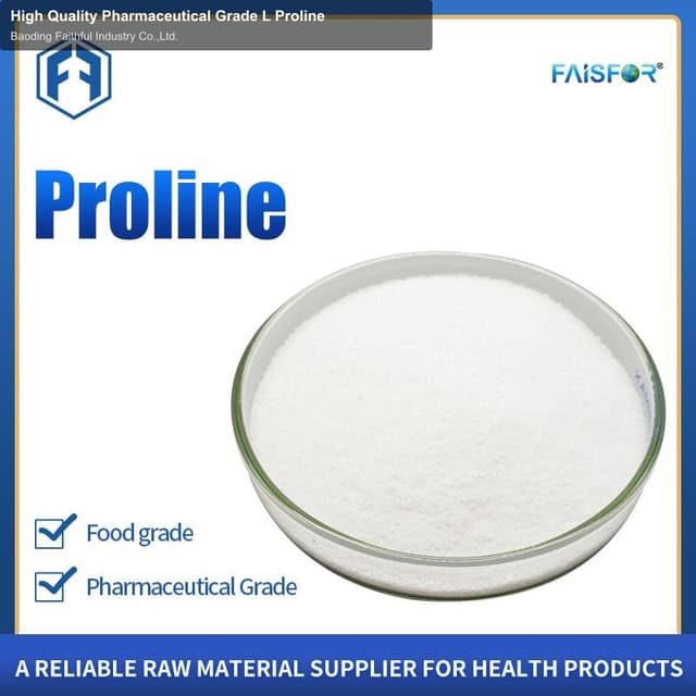 High Quality Pharmaceutical Grade L Proline