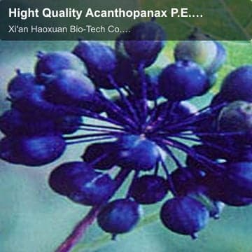 Hight Quality Acanthopanax P.E. with Eleutheroside 0.8%HPLC