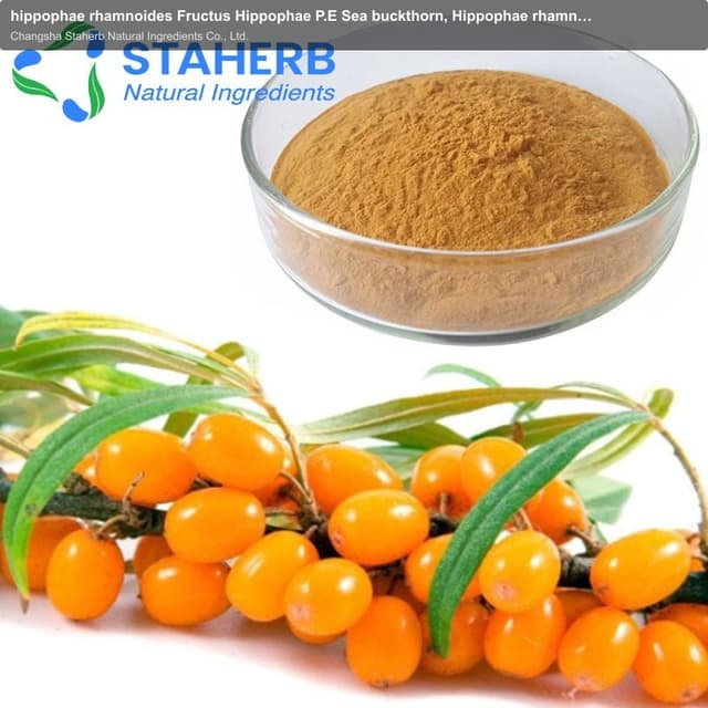 hippophae rhamnoides Fructus Hippophae P.E Sea buckthorn, Hippophae rhamnoides, ext sea buckthorn fr