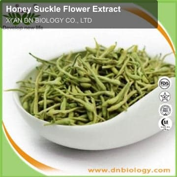 Honey Suckle Flower Extract