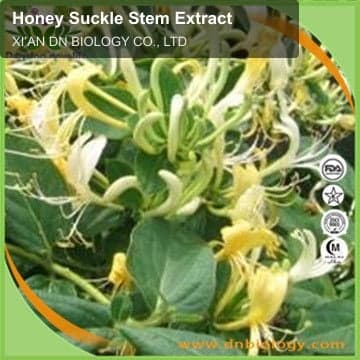Honey Suckle Stem Extract