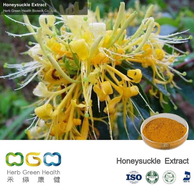 Honeysuckle Extract