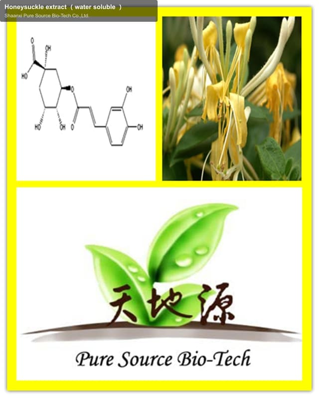 Honeysuckle extract （water soluble ）